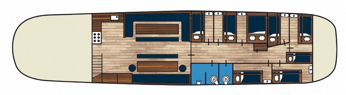 Albatros
